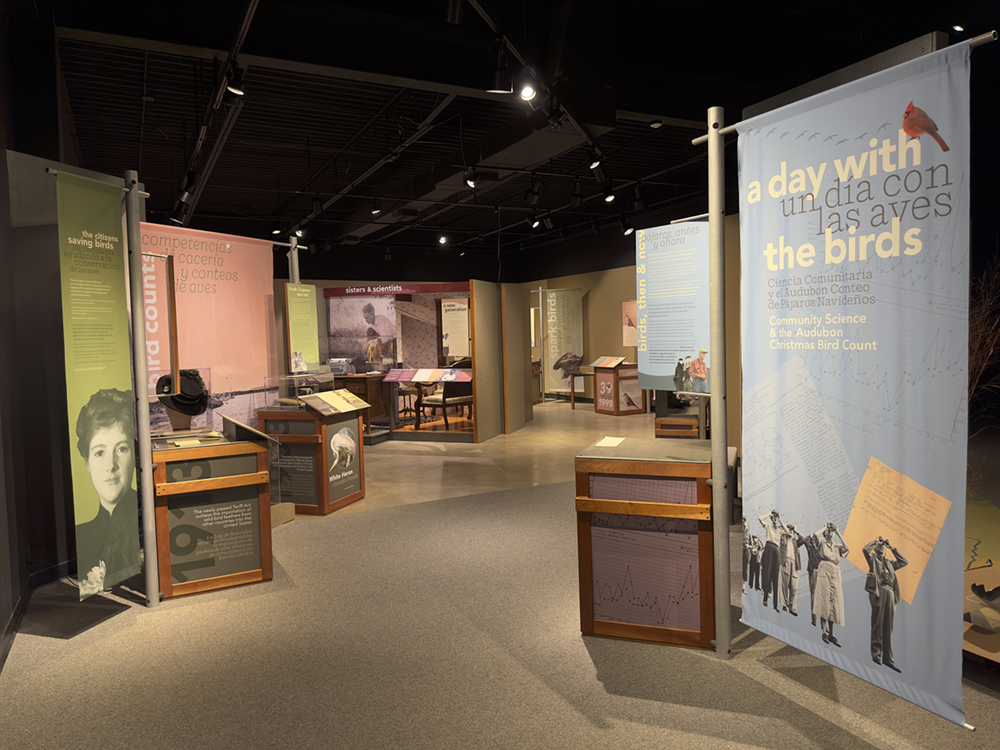 Entrance to the bilingual A Day With the Birds traveling exhibition.