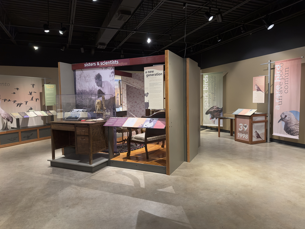 Wide view of the A Day With the Birds exhibition with interpretive displays and museum-style installations.