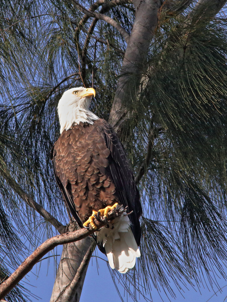 Historical BO-002 archive image from October 7, 2018