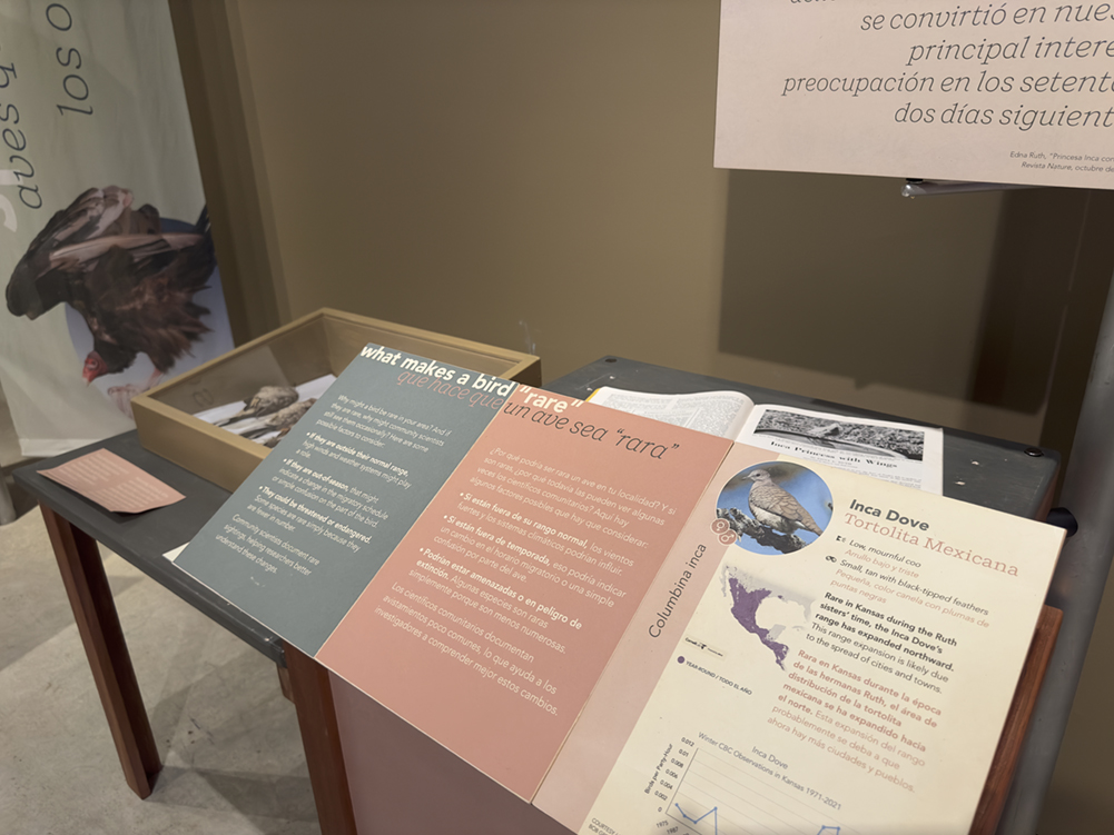 English and Spanish bird education display in the A Day With the Birds exhibition.