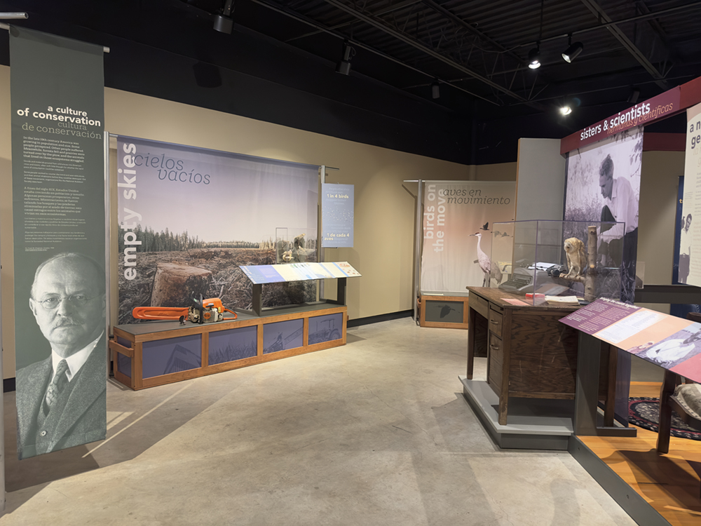 Exhibition display exploring bird conservation, habitat, and the history of bird science.