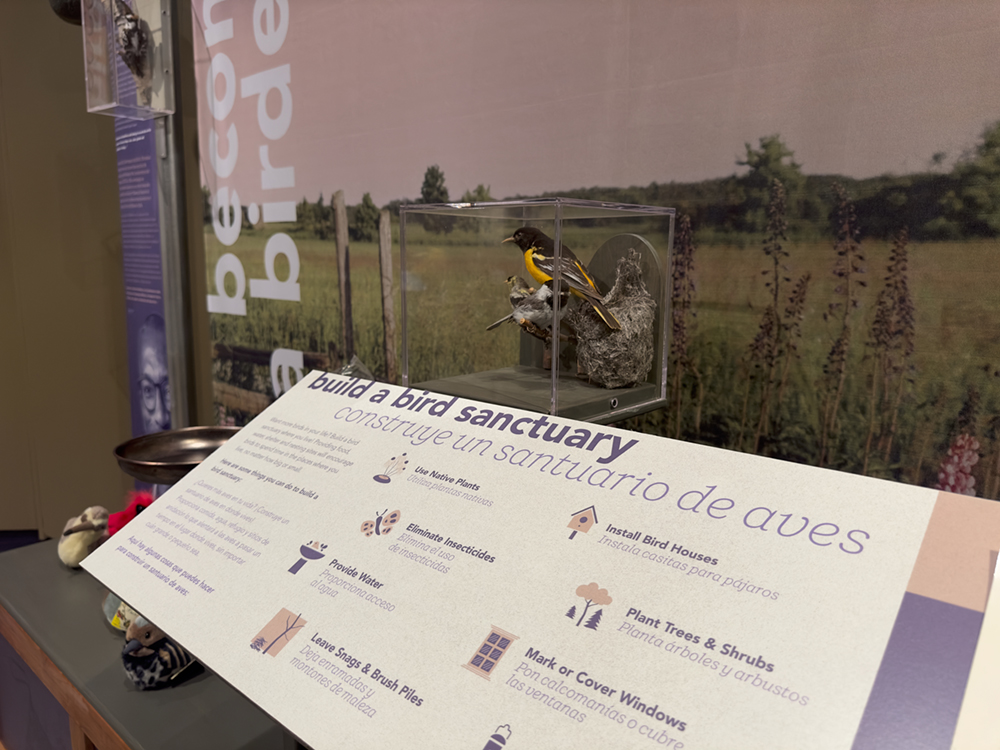 Bilingual Build a Bird Sanctuary display showing practical actions people can take to help birds.