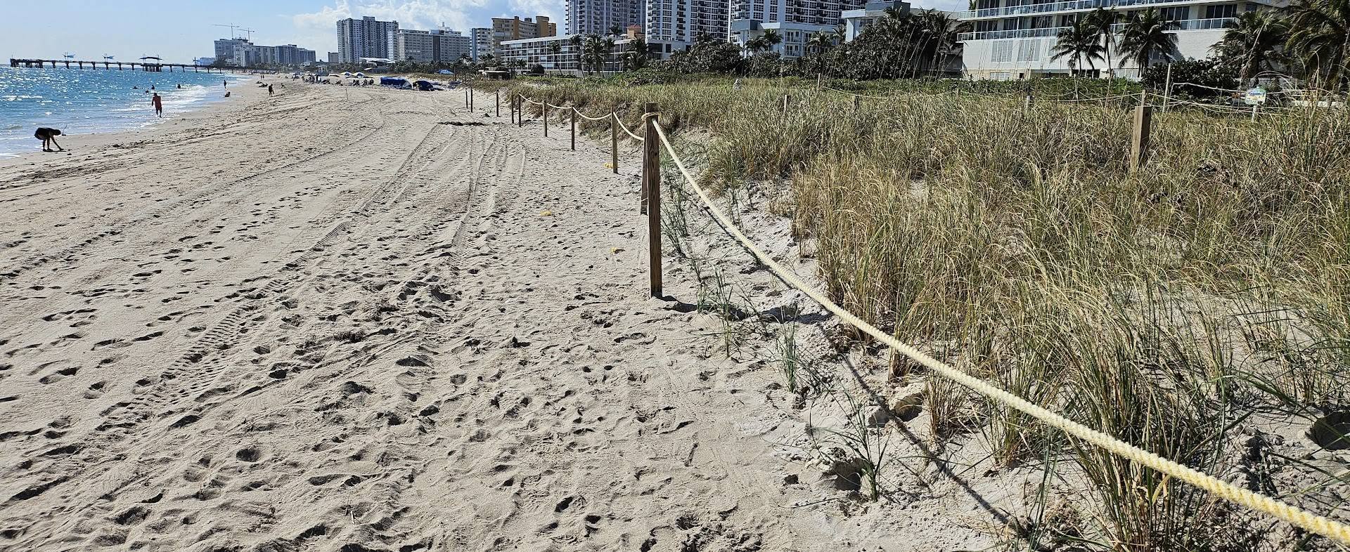 South Florida dune restoration site