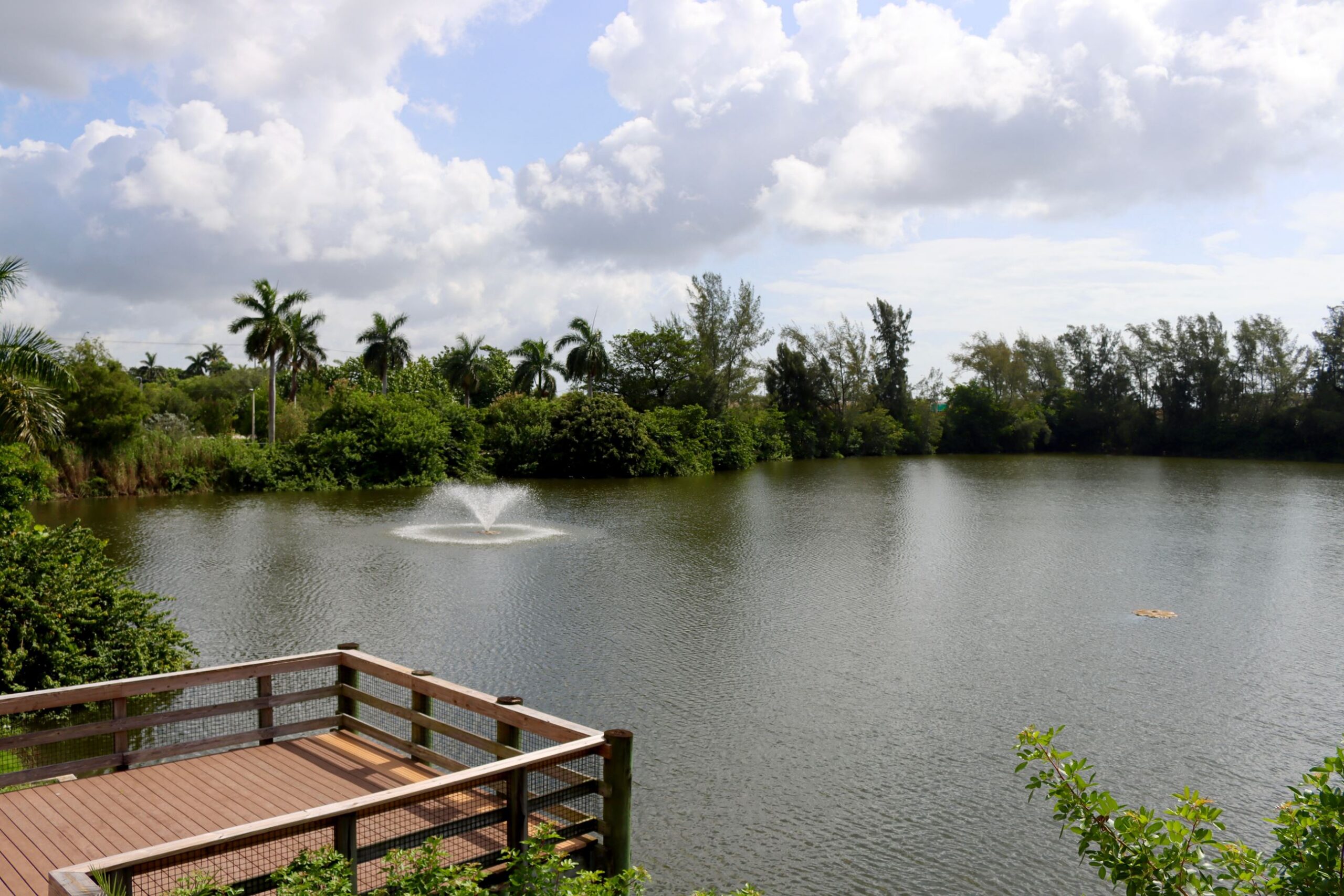 Walking path and landscaped grounds at Sunny Lake Bird Sanctuary in Davie, Florida.